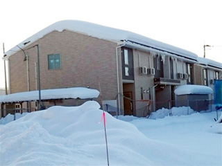 �A�p�[�g/���͍]�s����4����